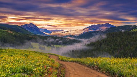 Nature Landscape Forest Mountain