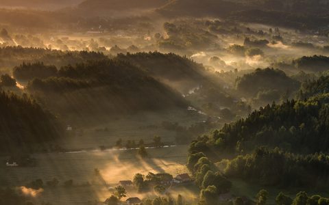Nature Landscape Forest Mountain