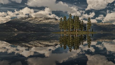 Nature Landscape Forest Mountain