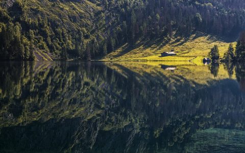 Nature Landscape Forest Mountain