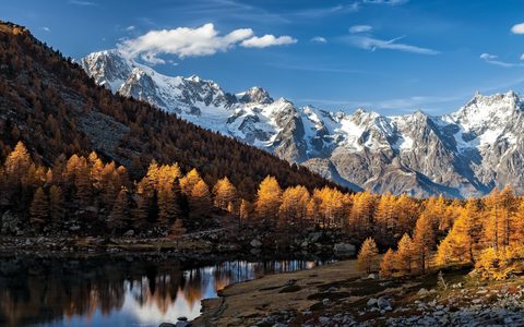 Nature Landscape Forest Mountain