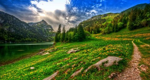 Nature Landscape Forest Mountain