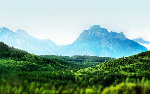 Nature Landscape Forest Mountain