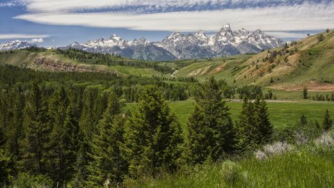 Nature Landscape Forest Mountain
