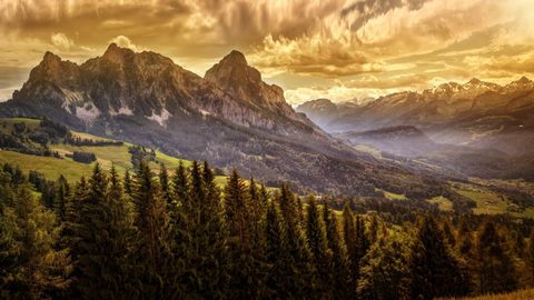 Nature Landscape Forest Mountain