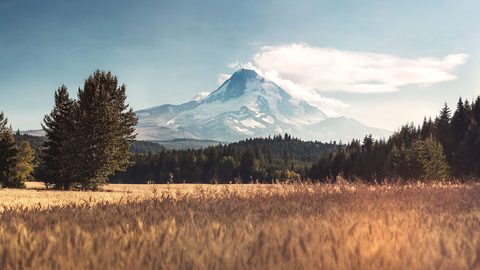 Nature Landscape Forest Mountain