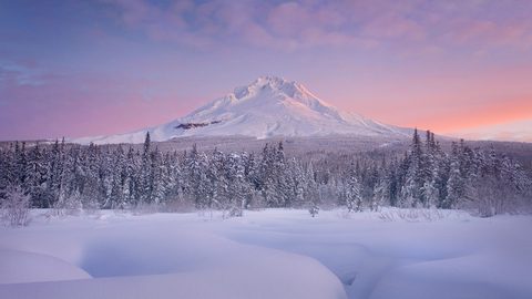 Nature Landscape Forest Mountain