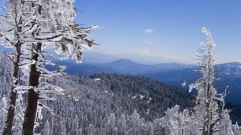 Nature Landscape Forest Mountain