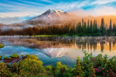 Nature Landscape Forest Mountain