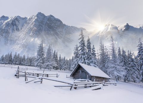 Nature Landscape Forest Mountain