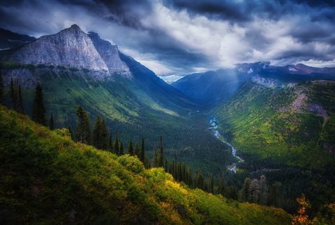 Nature Landscape Forest Mountain