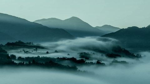 Nature Landscape Forest Mountain
