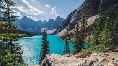 Nature Landscape Forest Mountain