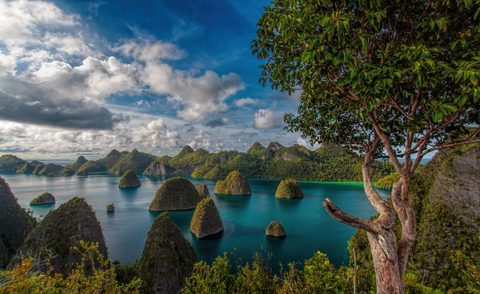 Nature Landscape Forest Mountain