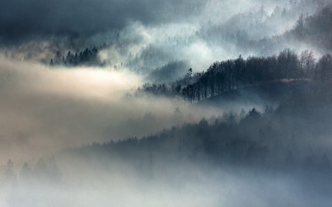 Nature Landscape Forest Mountain