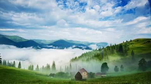 Nature Landscape Forest Mountain