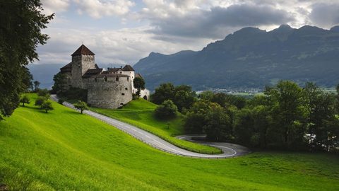 Nature Landscape Forest Mountain