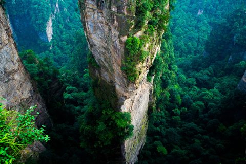 Nature Landscape Forest Mountain