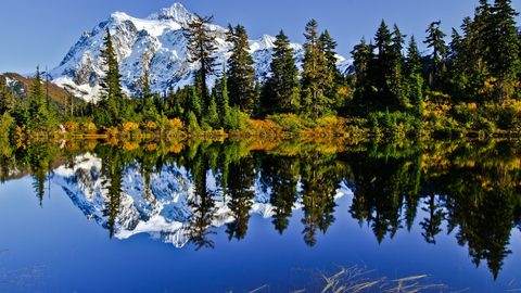 Nature Landscape Forest Mountain