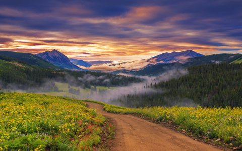 Nature Landscape Forest Mountain