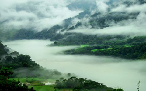 Nature Landscape Forest Mountain