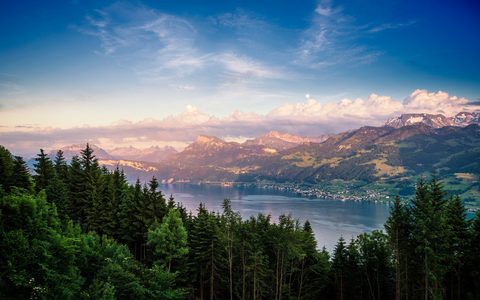 Nature Landscape Forest Mountain
