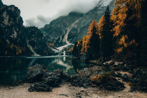 Nature Landscape Forest Mountain