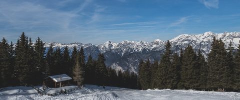Nature Landscape Forest Mountain