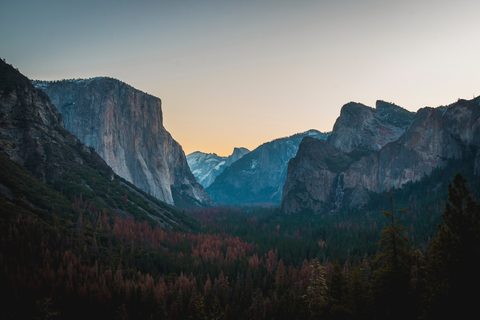 Nature Landscape Forest Mountain