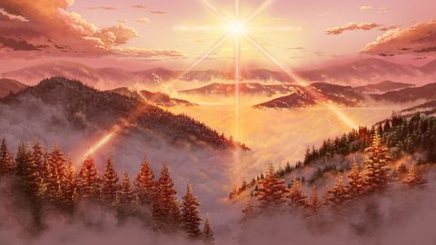 Nature Landscape Forest Mountain