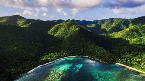 Nature Landscape Forest Mountain