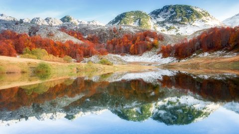 Nature Landscape Forest Mountain