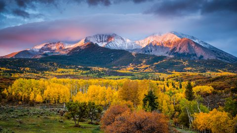 Nature Landscape Forest Mountain