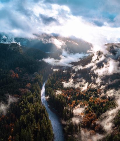 Nature Landscape Forest Mountain