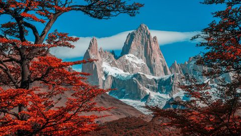 Nature Landscape Forest Mountain
