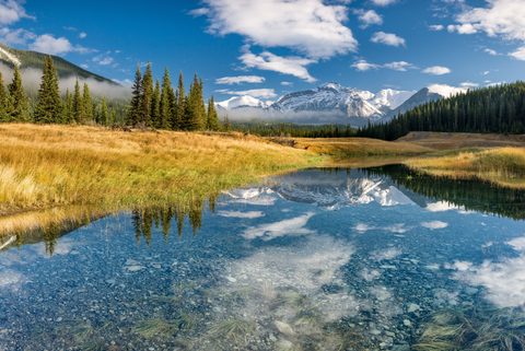 Nature Landscape Forest Mountain