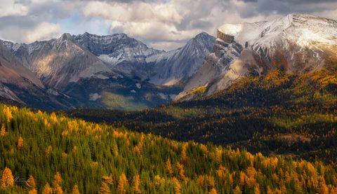 Nature Landscape Forest Mountain