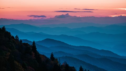 Nature Landscape Forest Mountain