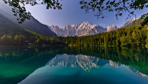 Nature Landscape Forest Mountain