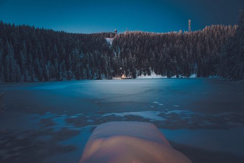 Nature Landscape Forest Mountain