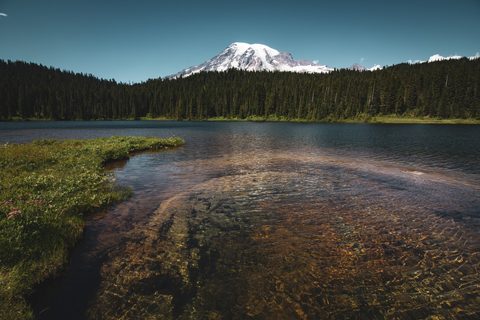 Nature Landscape Forest Mountain