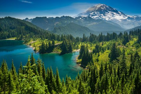 Nature Landscape Forest Mountain