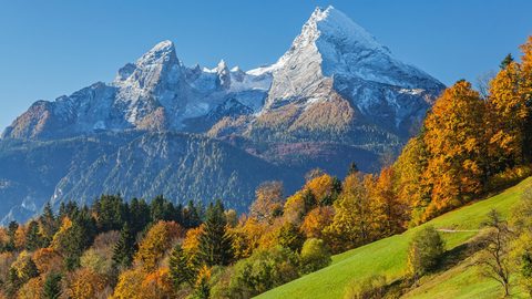 Nature Landscape Forest Mountain