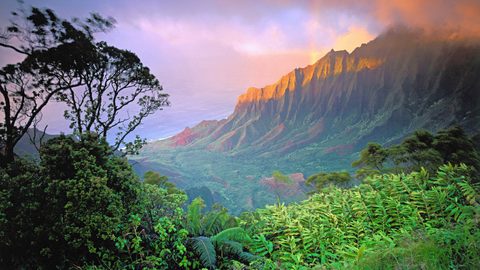 Nature Landscape Forest Mountain