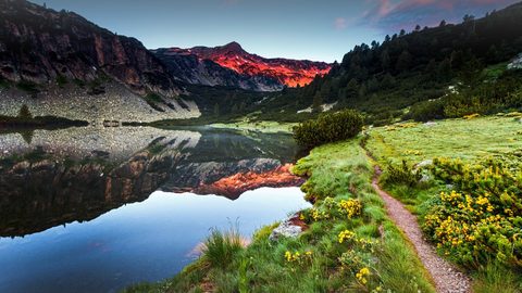 Nature Landscape Forest Mountain