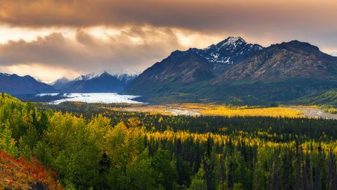 Nature Landscape Forest Mountain
