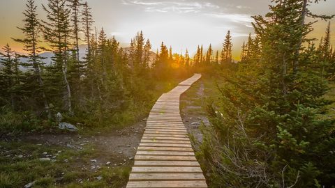 Nature Landscape Forest Mountain