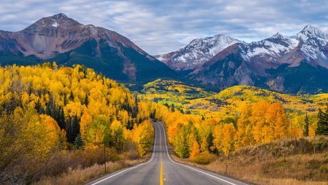 Nature Landscape Forest Mountain