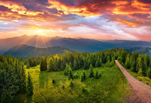 Nature Landscape Forest Mountain