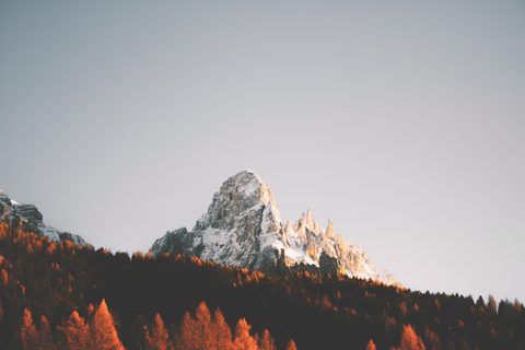 Nature Landscape Forest Mountain